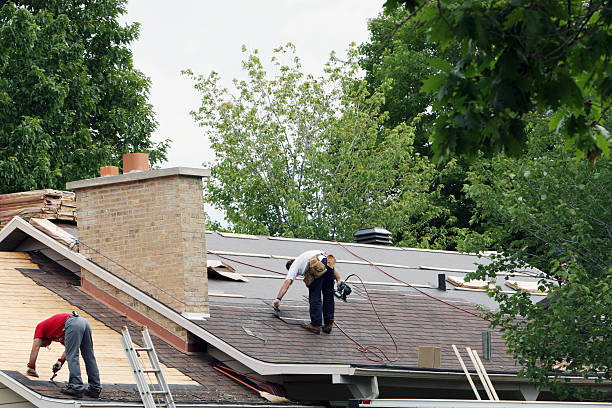 Best Roof Gutter Cleaning  in Mount Rainier, MD