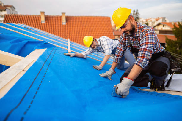 Best Flat Roof Repair Services  in Mount Rainier, MD