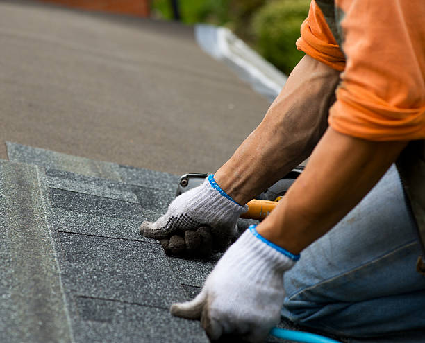 Best New Roof Installation  in Mount Rainier, MD